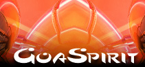 Midwest Annual Goa Experience - Midwest Goa Trance Event