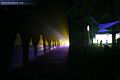 5d_40350.jpg