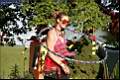 5d_55709.jpg