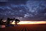 5d2_65609_2.jpg